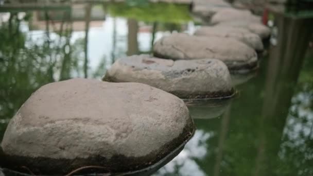 Pedras caminho na lagoa com árvores embaçadas como fundo — Vídeo de Stock