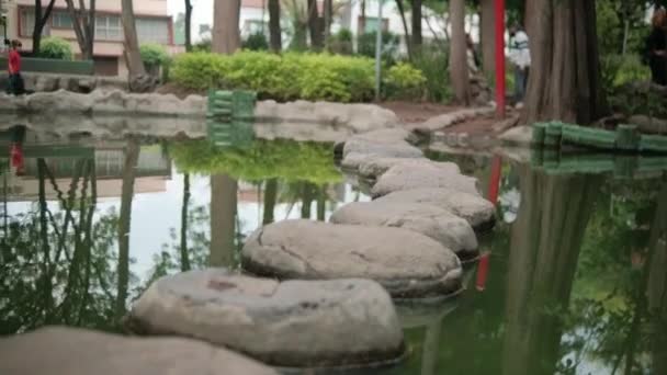 Path batu di kolam dengan pohon kabur sebagai latar belakang — Stok Video