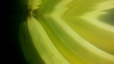 Suda yüzen üç taze muz.