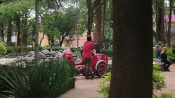 Vendedor de sorvete e carrinho cercado por árvores no parque — Vídeo de Stock