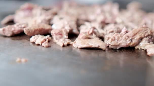 Deliziosa carne tritata arrostita su una piastra — Video Stock