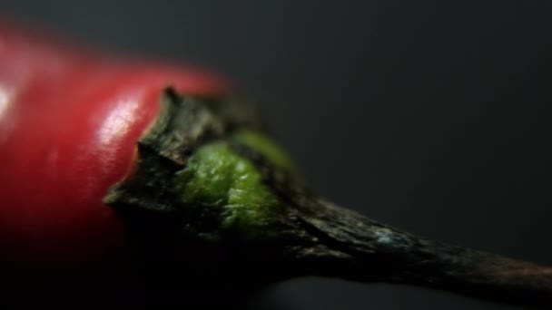 Zbliżenie kolorowe cienkie i świeże chili papryka na czarnej powierzchni — Wideo stockowe