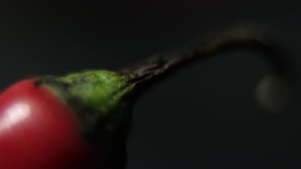 Close-up van kleurrijke dunne en verse chili peper op zwarte ondergrond — Stockvideo