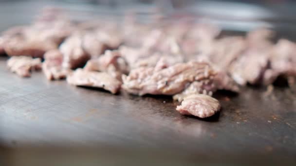 将美味的切碎肉放在锅子里烤 — 图库视频影像