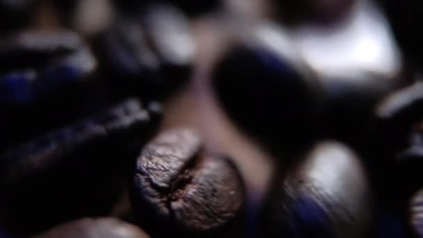 Close-up of a group of fresh coffee beans — Stock Video