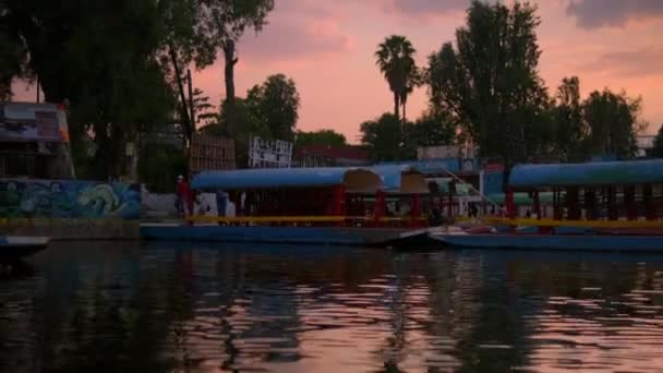 Traditionele kleurrijke trajineras in Xochimilco meer onder prachtige zonsondergang hemel — Stockvideo