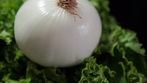 Fresh onion on top of big lettuce with black background — Stock Video