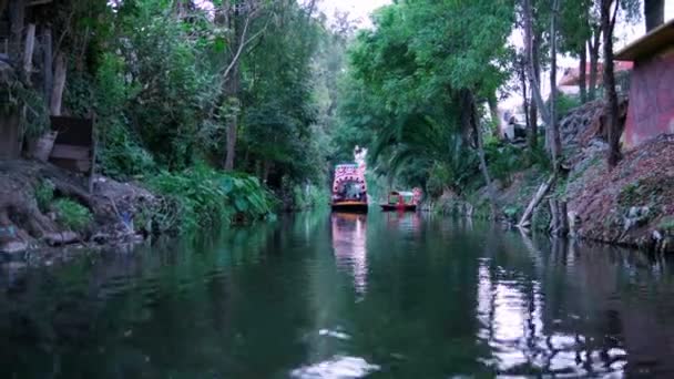 Traditionele kleurrijke trajinera omgeven door bomen in Xochimilco meer — Stockvideo