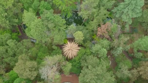 Vista aérea de la puerta tradicional japonesa y árboles en Masayoshi Ohira Park — Vídeo de stock