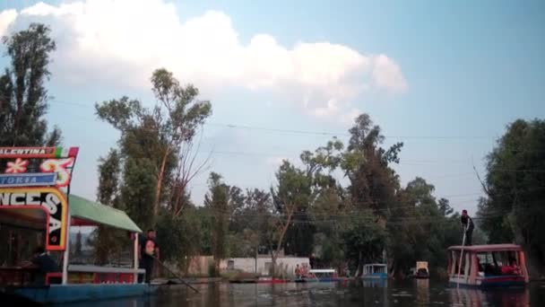 Traditionele kleurrijke trajineras met bomen en heldere lucht als achtergrond — Stockvideo