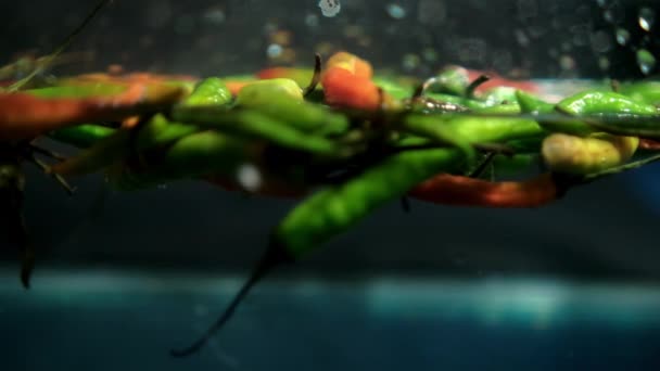 Mão agarrando pimentas frescas coloridas da água — Vídeo de Stock