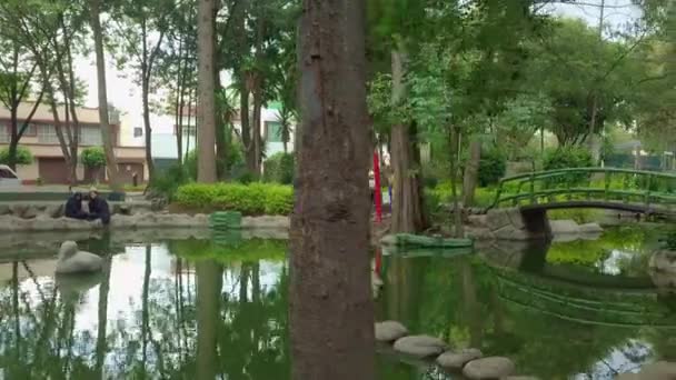 Masayoshi Ohira parkında ağaçlarla çevrili taşlı patika ve gölet — Stok video