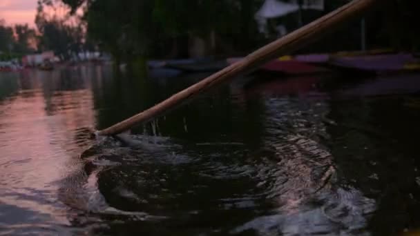 Lange stok op rustig water met bomen en mooie lucht als achtergrond — Stockvideo