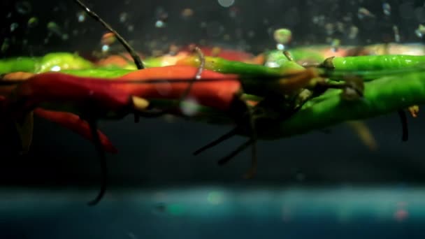 Різнокольоровий тонкий і свіжий перець чилі під водою з сірим фоном — стокове відео