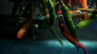 Suyun altından rengarenk taze kırmızı biber kapmak.