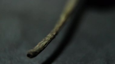 Siyah yüzeyde renkli, ince ve taze kırmızı biber yakın plan.