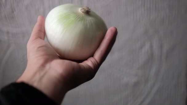 Ręczne trzymanie cebuli z białą teksturowaną ścianą w tle — Wideo stockowe