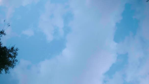 Traditionele en kleurrijke Mexicaanse trajinera onder de blauwe hemel — Stockvideo