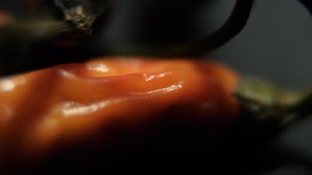 黒の表面にカラフルな薄く新鮮な唐辛子のクローズアップ — ストック動画