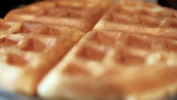 Close-up dari wafel bulat lezat pada pembuat wafel abu-abu — Stok Video