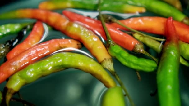 Färgglada tunna och färska chilipeppar flyter på vatten — Stockvideo