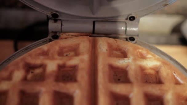 Close-up of delicious round waffle on gray waffle maker — Stock Video