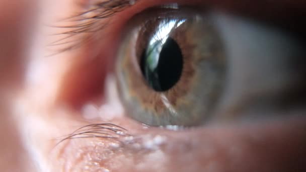 Gros plan d'un bel œil humain avec iris gris — Video