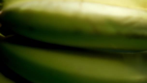 Sekumpulan tiga pisang segar yang mengambang di air — Stok Video