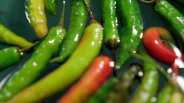 Renkli ince ve taze kırmızı biberler suyun üzerinde yüzüyor.