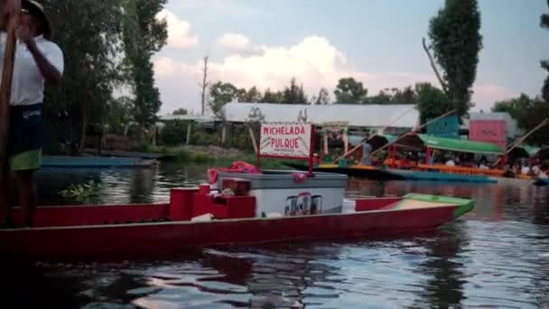 Twee kleine kleurrijke boten op Xochimilco meer met bomen en lucht als achtergrond — Stockvideo