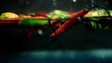 Suyun altında çok renkli ince ve taze kırmızı biberler, koyu arka planda.