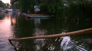 Arka planda ağaçlar ve güzel gökyüzü olan huzurlu sularda uzun bir çubuk.