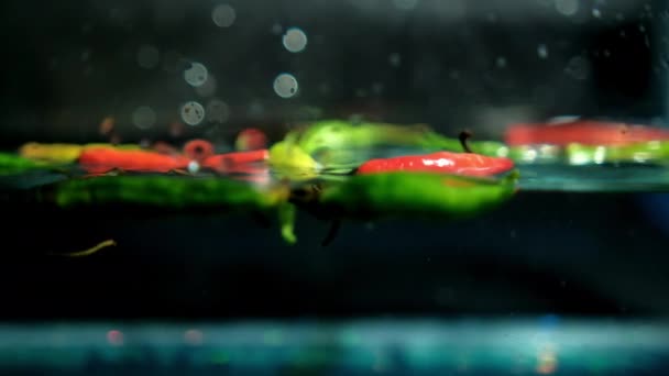 Chiles frescos multicolores que caen profundamente en el agua con salpicaduras — Vídeos de Stock