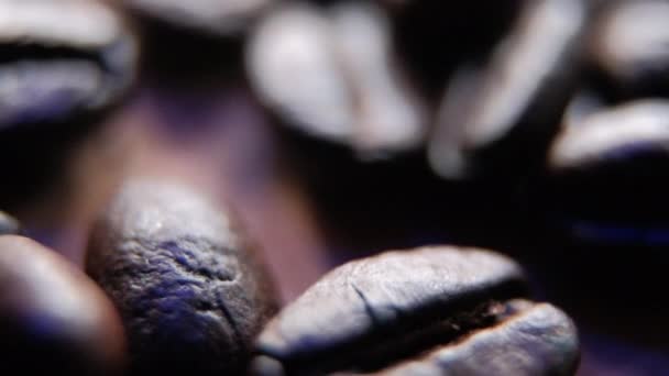 Närbild av en grupp färska kaffebönor — Stockvideo