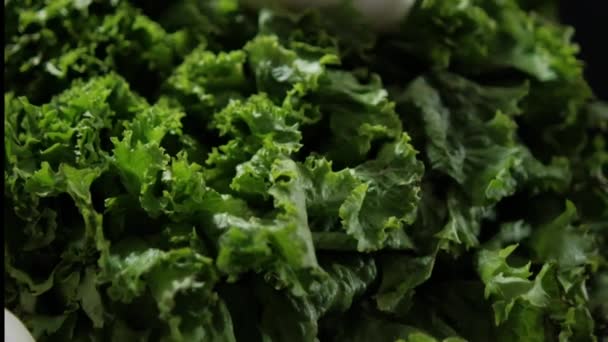 Frische Zwiebel auf großem Salat mit schwarzem Hintergrund — Stockvideo