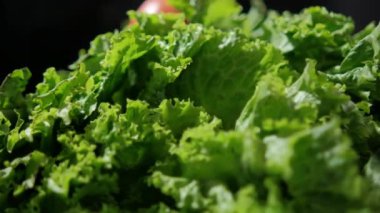 Büyük taze marulun üstünde el ele tutuşan domates.