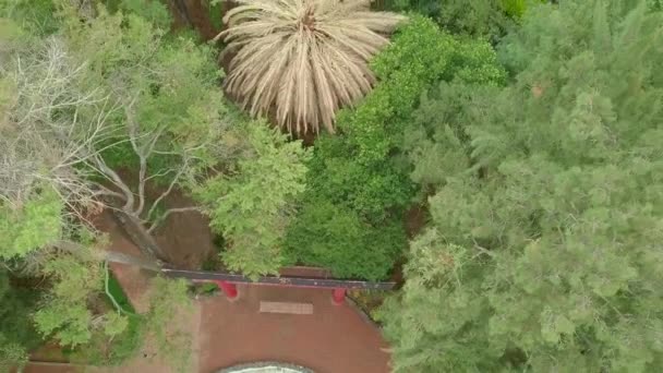 Veduta aerea del tradizionale cancello giapponese e degli alberi nel parco Masayoshi Ohira — Video Stock