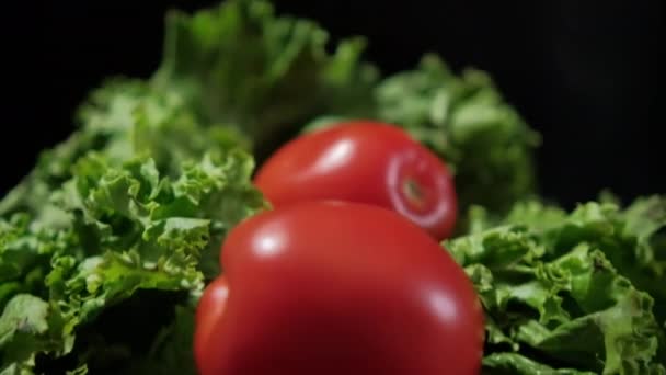 Four fresh tomatoes on top of big lettuce with black background — Stock Video