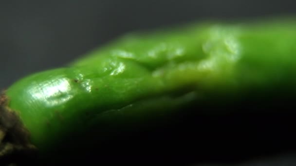 Close-up van kleurrijke dunne en verse chili pepers op zwarte ondergrond — Stockvideo