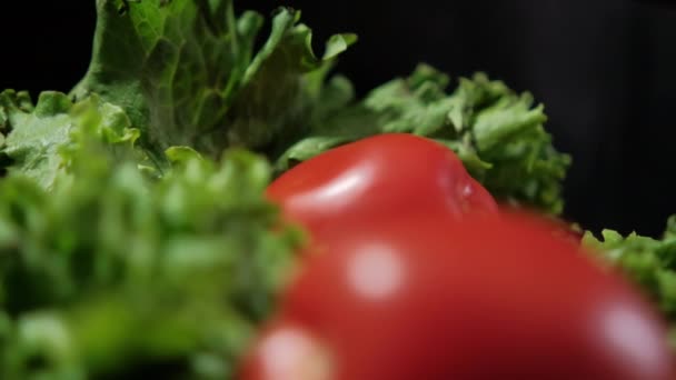 Vier frische Tomaten auf großem Salat mit schwarzem Hintergrund — Stockvideo