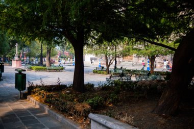 Mexico City 'den huzurlu parkta büyük ağaç gölgesi