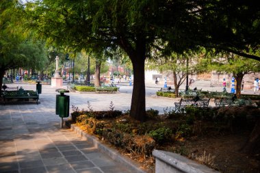 Mexico City 'den huzurlu parkta büyük ağaç gölgesi