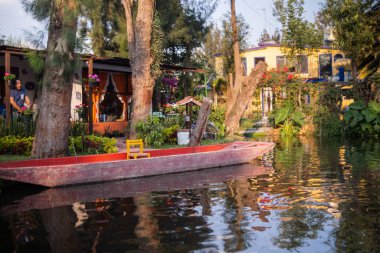 Arka planda bitkiler ve evler bulunan Xochimilco gölüne demirlemiş küçük bir tekne.
