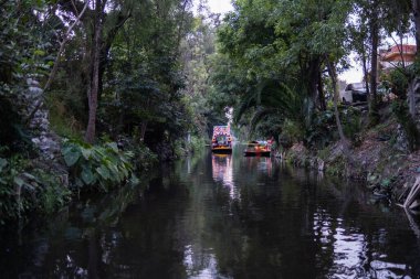Xochimilco gölünde ağaçlarla çevrili geleneksel renkli trajinera
