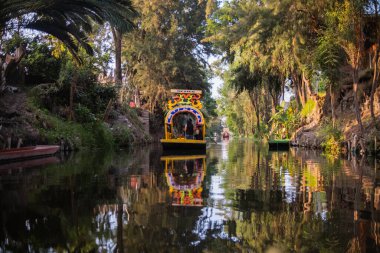 Xochimilco gölünde ağaçlarla çevrili geleneksel renkli trajinera
