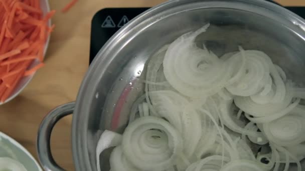 Zwiebelscheiben im Kochtopf neben Teller mit geschnittener Karotte — Stockvideo