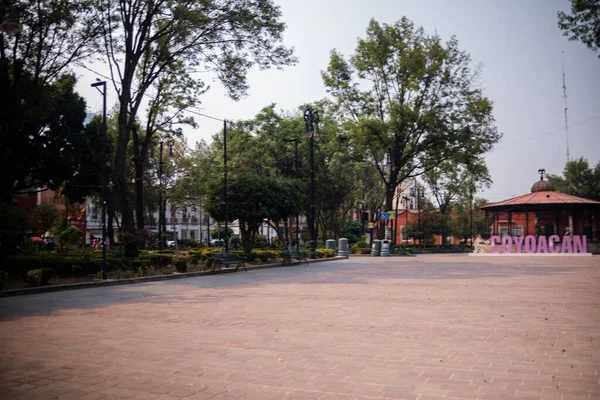 Рожеві листи та кіоск посеред парку в Мехіко. — стокове фото