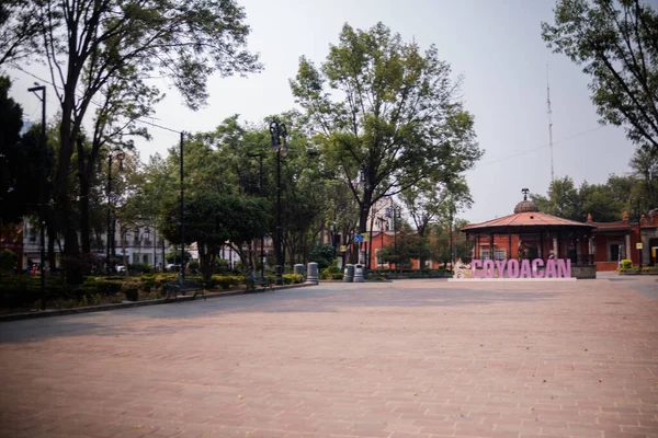 Рожеві листи та кіоск посеред парку в Мехіко. — стокове фото
