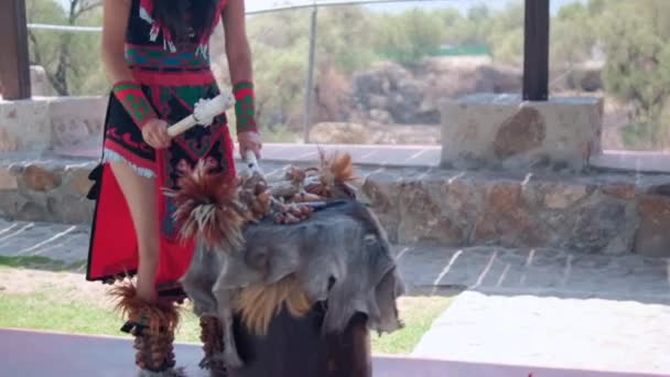 Vrouw in pre-Spaanse kledij speelt oude versierde trommel voor dans — Stockvideo