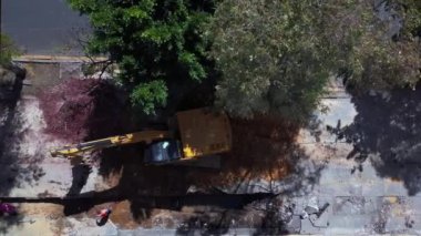 Bir ağacın altındaki inşaat alanını kazan kazıcının hava görüntüsü